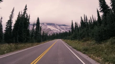 Seattle Forest7 Stock Footage 102081557