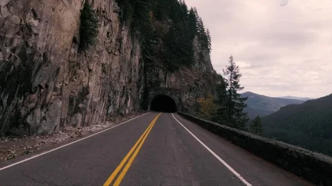 Seattle Forest8 Stock Footage 102081570