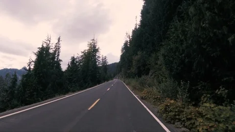 Seattle Forest9 Stock Footage 102081563