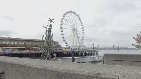 Seattle Great Wheel 2 Stock Footage 106880850