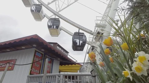Seattle Great Wheel 3 1 Stock Footage 106880918