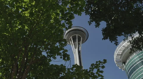 Seattle Needle 스톡 동영상 54693024
