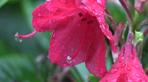 Seattle Rainy Day Stock Footage 39671861