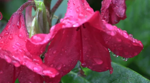 Seattle Rainy Day Stock Footage 39671872