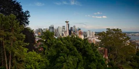 Seattle Skyline Over Trees Stock Photos