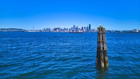 Seattle Skyline Waterfront Seagull and Blue Water from Alki Beach Perspective Stock Photos