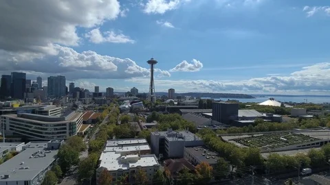 Seattle Space Needle Side Stock Footage 71308375