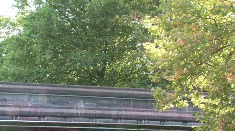 Seattle Tram Stock Footage 276501