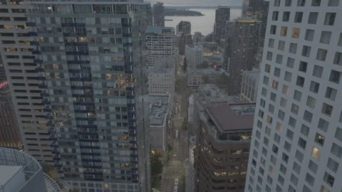 Seattle Twilight 動画素材 289578741