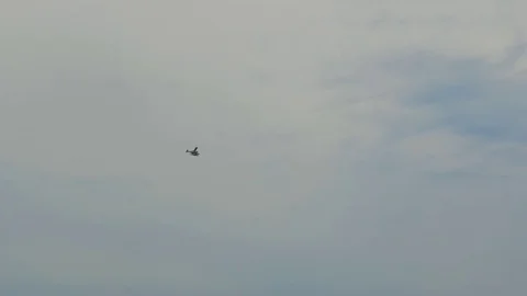 Seattle Washington in 4k Stock Footage 83627736