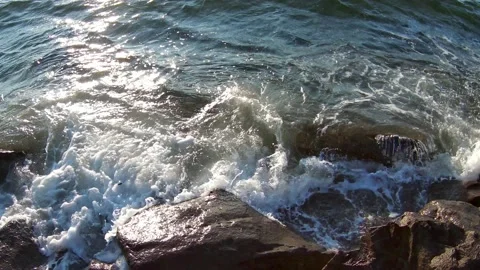 Seattle wave Vídeos de archivo 138612948