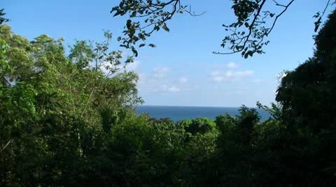 Seaview 4, seamless looping Video stock 8840639