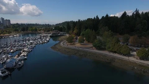 Seawall Stock Footage 96548756