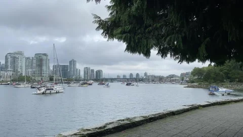 Seawall POV pathway empty with buildings sail boats and tree Stock Footage 282637403