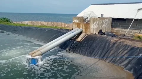 Seawater extraction Stock Footage 229674345