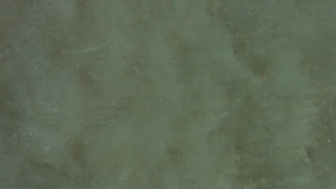 Seawater shore Stock Footage 87141869