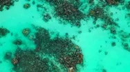 Seawater Texture. Crystal Clear Water, Sandy Seafloor With Corals And Stock Footage