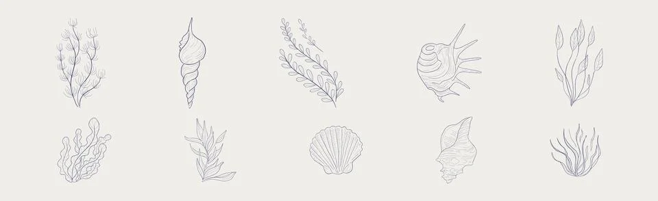 Seaweed, Algae and Sea Shells Hand Drawn Vector Set Stock Illustration