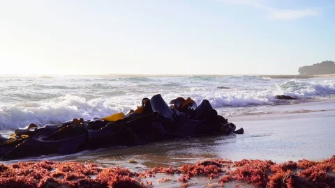 Seaweed and waves on sandy beach 動画素材 109479086
