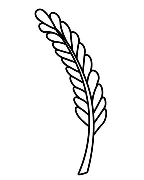 Seaweed, aquarium sprout - vector linear illustration for coloring. Stock Illustration