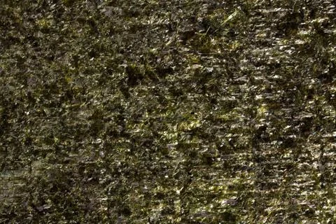Seaweed background texture Stock Photos