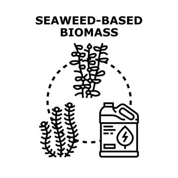 Seaweed based biomass developing sustainable energy resources Ilustración de archivo