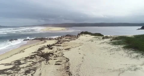 SEAWEED ON BEACH 動画素材 162958344