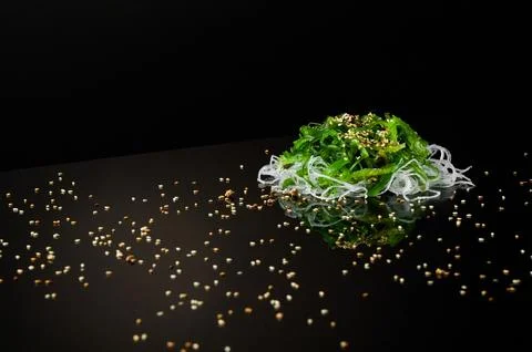 Seaweed on a black background Stock Photos