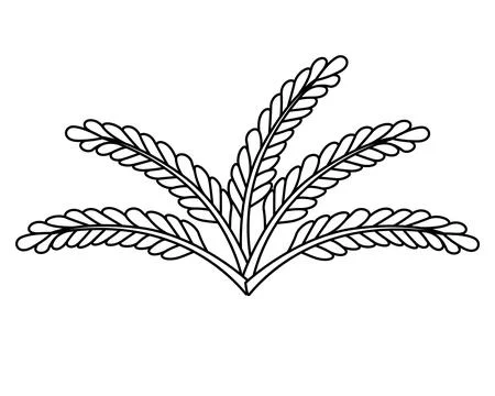 Seaweed, bush for an aquarium - vector linear illustration for coloring. Stock Illustration
