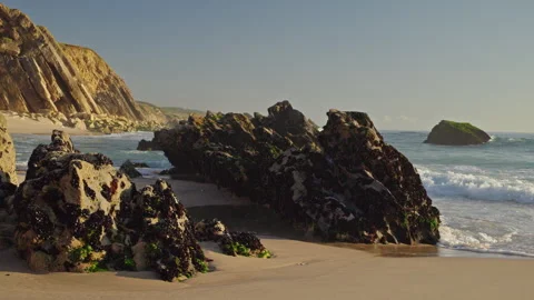 Seaweed Covered Rocks and Waves on Portugal Coast Video stock 342341153