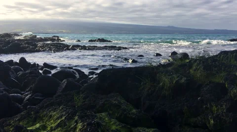 Seaweed covered rocks with distant bay and mountains, Hilo Bay, Hawaii. (4K) Stock Footage 61159251