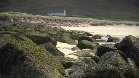 Seaweed covered rocks Stock Footage 158184690