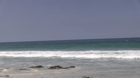 Seaweed escape Video stock 42468271