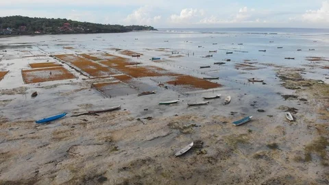 Seaweed Farm Stock Footage 126927356