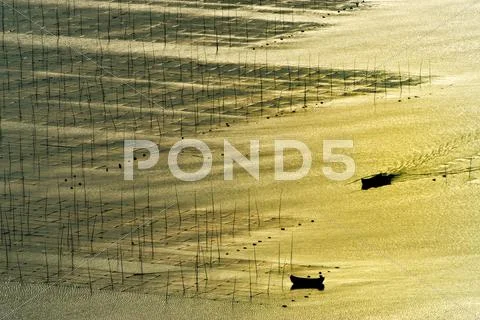 Seaweed farm Stock Photos
