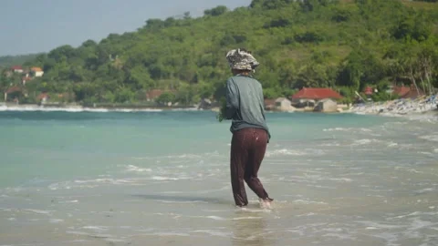 Seaweed farmer walks through waves on Indonesian beach harvesting loose seaweed Stock Footage 137278397