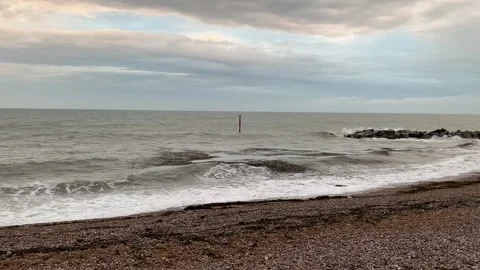 Seaweed floating in the sea at sunset. Stock-Footage 219890551
