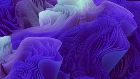 Seaweed 動画素材 254356954