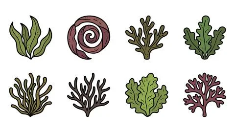 Seaweed Icons Vector Set Stock Illustration