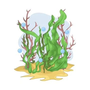 Seaweed Illustration Stock Illustration