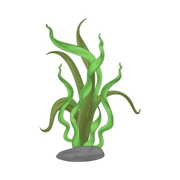Seaweed Illustration Stock Illustration