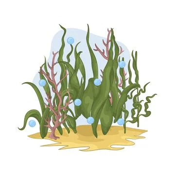Seaweed Illustration Stock Illustration