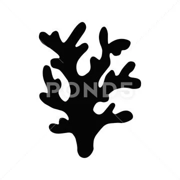 Seaweed kelp. isolated silhouette. object sea plant.: Royalty Free ...