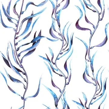 Seaweed kelp seamless pattern. Hand drawn watercolor plants botanical texture Stock Illustration
