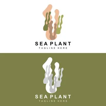Seaweed Logo, Sea Plants Vector Design, Grocery And Nature Protection Stock Illustration