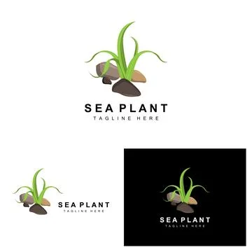 Seaweed Logo, Sea Plants Vector Design, Grocery And Nature Protection Stock Illustration