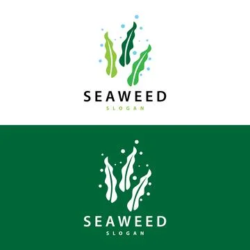 Seaweed Logo Simple Minimalist Design Illustration Template Stock Illustration