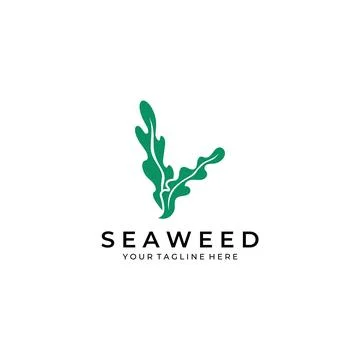 Seaweed logo with template illustration vector design. Stock Illustration