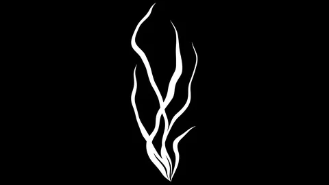 Seaweed looping animated hand drawn underwater, transparent background 動画素材 118069828