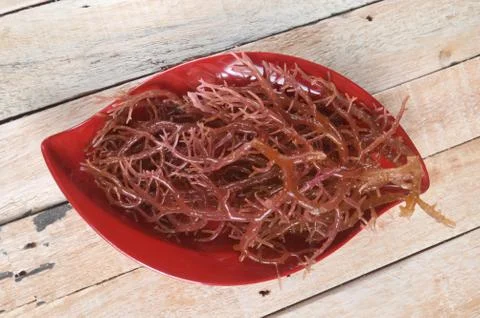 Seaweed Stock Photos